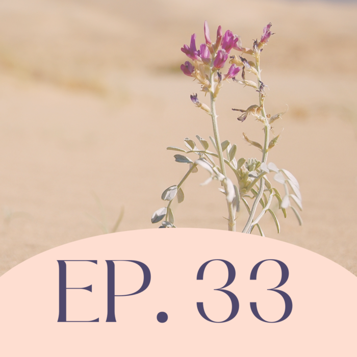 Cómo encontrar abundancia