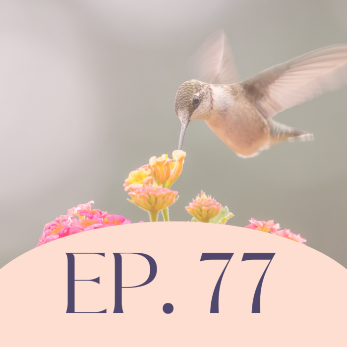 Señales del universo